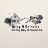 Bring It on Home artwork