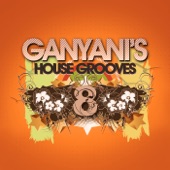 Ganyani's House Grooves 8 artwork