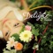 Delight ジャケット写真