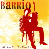 Yo Sueno Flamenco artwork