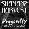 Dragonfly (Radio Mix) - Single album lyrics, reviews, download