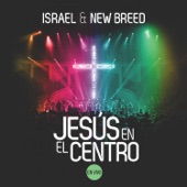 Te Amo (feat. T-Bone) by Israel & New Breed