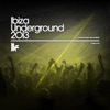 Ibiza Underground 2013