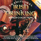 Traditional Irish Drinking Songs - Vol. 1 artwork