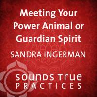 Sandra Ingerman - Meeting Your Power Animal or Guardian Spirit artwork