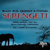 Blues Concerto: III. Allegro con brio artwork