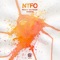 Pretoria (feat. Forrest) - NTFO lyrics