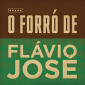 O Forró de Flávio José - Flávio José