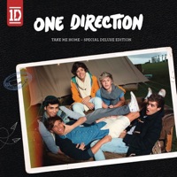Live While We’re Young おすすめのカバー曲|アーティスト