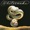 Whitesnake-Lie Down (A Modern Love Song)