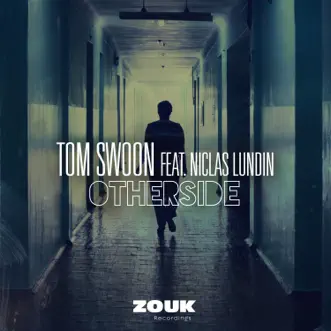 Otherside (feat. Niclas Lundin) [Radio Edit] by Tom Swoon song reviws