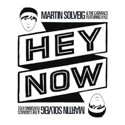 Hey Now (feat. Kyle) - EP - Martin Solveig