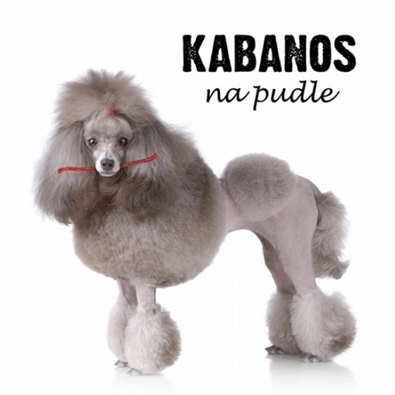 Cover artwork for Mucha Nie Siada