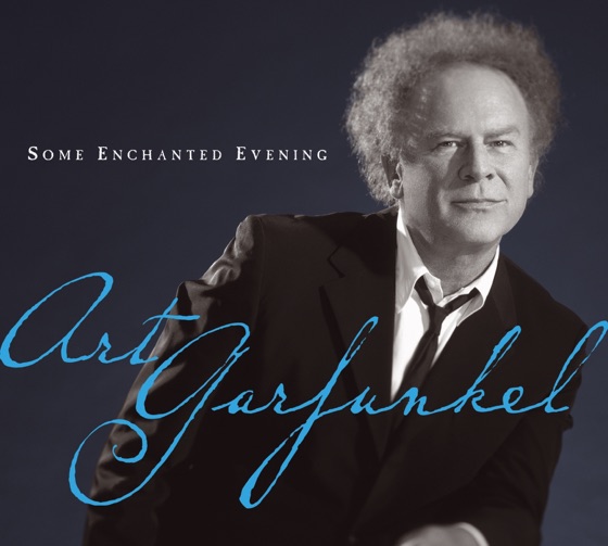 Cover artwork for What'll I Do