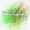 The Best of Levitated Music 2015