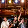 Curador de Lágrimas - Single (Ao Vivo) [feat. Jorge & Mateus] - Single album lyrics, reviews, download