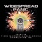 Midnight Special - Widespread Panic lyrics