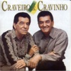 Craveiro & Cravinho, 2003