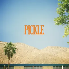 Pickle - Single by Army Navy album reviews, ratings, credits