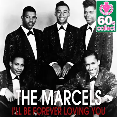 I'll Be Forever Loving You (Remastered) - Single - The Marcels