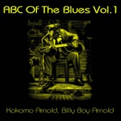 Billy Boy Arnold - I Ain't Got You