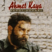 Sevgi Duvarı artwork