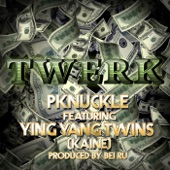 Twerk (feat. Ying Yang Twins) artwork