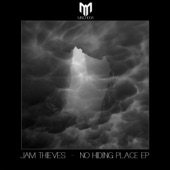 No Hiding Place (Original Mix) artwork