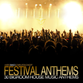 Festival Anthems - Various Artists