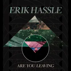 Are You Leaving - Single - Erik Hassle
