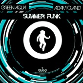 Summer Funk (Adam Oland Remix) artwork