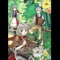 Boukyakunotsubasa - Haruka Shimotsuki lyrics