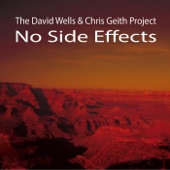 The David Wells & Chris Geith Project - In Good Hands