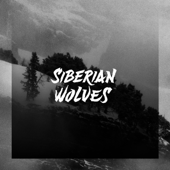 Siberian Wolves - Siberian Wolves