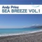 Senza Te (feat. Jomar) [Distant Horizon Mix] - Andy Prinz lyrics