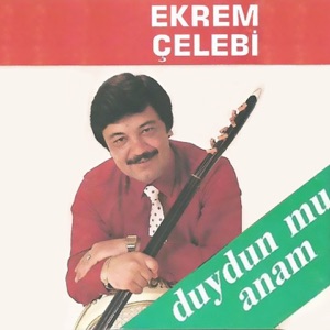 Duydun Mu Anam
