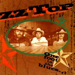 One Foot In the Blues - Zz Top