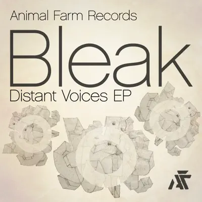 Distant Voices - Bleak