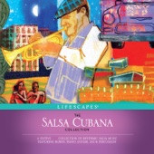 The Salsa Cubana Collection artwork