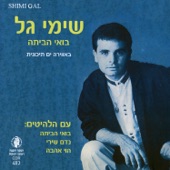 הוי האהבה artwork