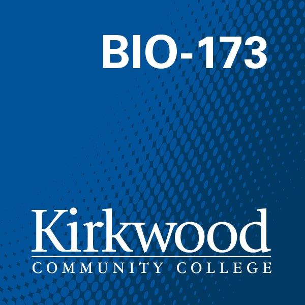 BIO-173 Human Anatomy/Phys II - Video cover