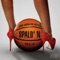 Spald