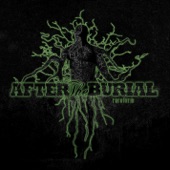 After the Burial - Drifts