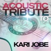 Acoustic Soul - Healer