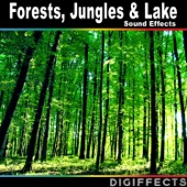 Digiffects Sound Effects Library - Broadleaf Tree Forest Ambience with Birds