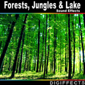 Forests, Jungles & Lake Sound Effects - Digiffects Sound Effects Library