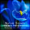 Nature Sounds for Spa Treatments: Music for Wellness Center, Soothing Ambient Therapy for Relaxation & Massage album lyrics, reviews, download