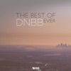 The Best of DNBB Ever, Vol. 01, 2016