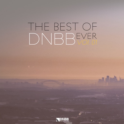 The Best of DNBB Ever, Vol. 01 by Various Artists
