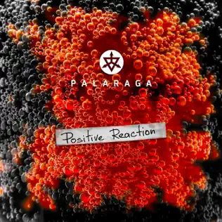 ladda ner album Palaraga - Positive Reaction